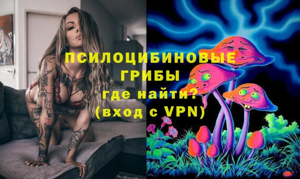 тгк Беломорск
