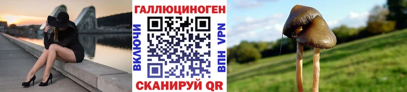 нарко площадка наркотические препараты  МЕГА ТОР  Бугульма  Псилоцибиновые грибы мицелий 