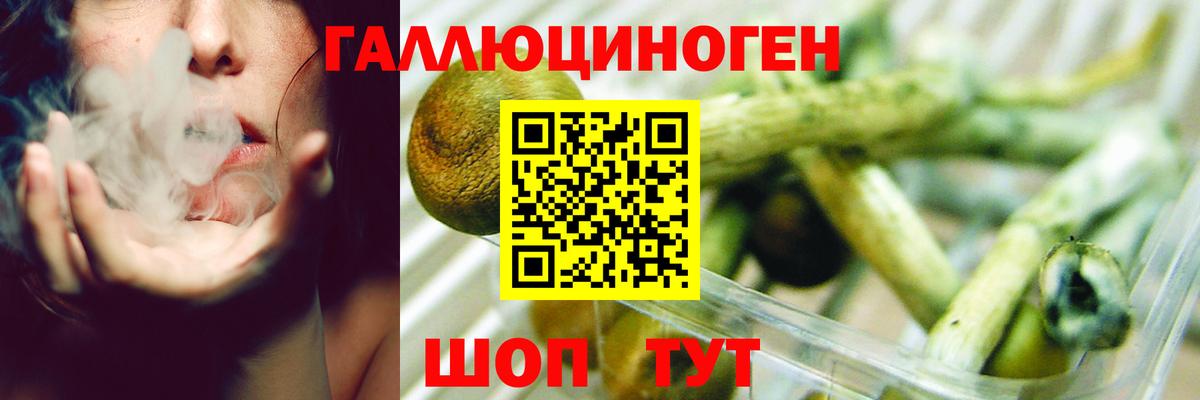 Псилоцибиновые грибы мухоморы Бугульма